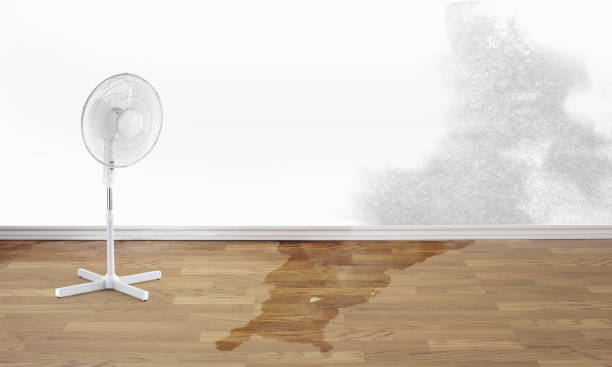 Best Water damage restoration near me  in Barbourville, KY