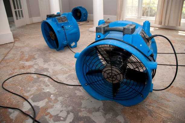 Best Water damage cleanup near me  in Barbourville, KY