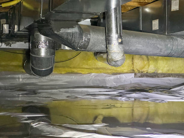 Best Flood restoration services  in Barbourville, KY