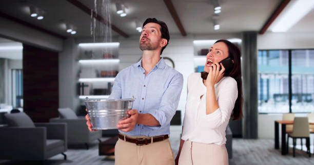 Best Basement water damage restoration  in Barbourville, KY